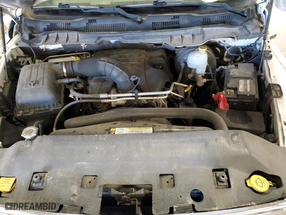 2010 Dodge Ram 1500 SLT with VIN 1D7RV1CT5AS154106, listed as a Copart auction lot 49603705 with 0 mi miles and Non Repairable. Bid and sale history available at carsss.com. Image 11.
