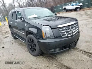 2007 Cadillac Escalade z VIN 1GYFK63867R418507, wystawiony jako Copart lot #50168735 z przebiegiem 215 287 mil mil oraz Szkody całkowita. Historia ofert i sprzedaży dostępna na DreamBid. Obrazek 11.