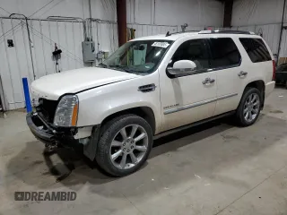 2010 Cadillac Escalade Premium with VIN 1GYUKCEF2AR146420, listed as a Copart auction lot 48102685 with 121,229 mi miles and Clean title. Bid and sale history available at DreamBid. Image 1.