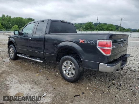 2011 Ford F-150 XL with VIN 1FTFX1EF5BFA01265, listed as a Copart auction lot 54848895 with 166,524 mi miles and Salvage title. Bid and sale history available at DreamBid. Image 2.