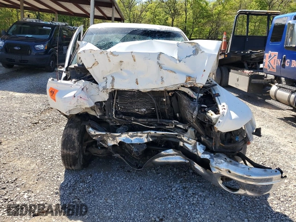 2005 Dodge 1500 ST with VIN 1D7HA16K75J646657, listed as a Copart auction lot 52172895 with Not Provided miles and Salvage Title. Bid and sale history available at carsss.com. Image 5.