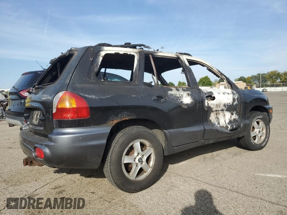 2004 Hyundai Santa Fe with VIN KM8SB12B64U656737, listed as a Copart auction lot 71521294 with 0 mi miles and Non Repairable. Bid and sale history available at carsss.com. Image 3.