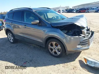 2014 Ford Escape SE with VIN 1FMCU0GX6EUD41631, listed as a IAAI auction lot 41209163 with 233,429 mi miles. Bid and sale history available at carsss.com. Image 1.