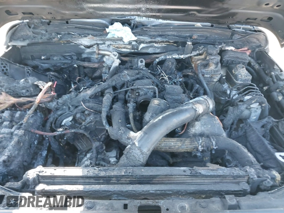 2021 Jeep Wrangler Unlimited Rubicon with VIN 1C4JJXFM5MW722572, listed as a IAAI auction lot 41667167 with Not provided miles and . Bid and sale history available at DreamBid. Image 10.