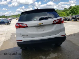 2021 Chevrolet Equinox LS with VIN 3GNAXFEV8MS173102, listed as a Copart auction lot 55698654 with 47,046 mi miles and Salvage title. Bid and sale history available at DreamBid. Image 6.