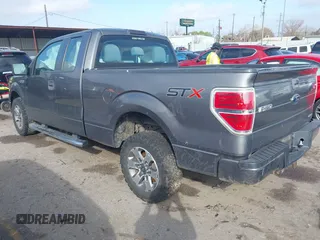 2014 Ford F-150 XL with VIN 1FTEX1CM6EKE29693, listed as a IAAI auction lot 41485667 with 95,296 mi miles and . Bid and sale history available at DreamBid. Image 3.