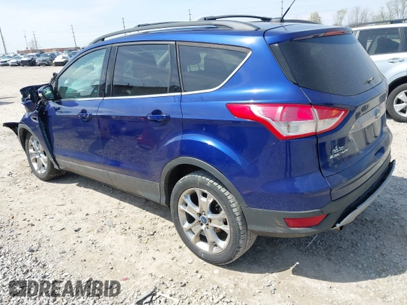 2013 Ford Escape SEL with VIN 1FMCU0H94DUC84666, listed as a IAAI auction lot 42001644 with 165,269 mi miles. Bid and sale history available at carsss.com. Image 3.