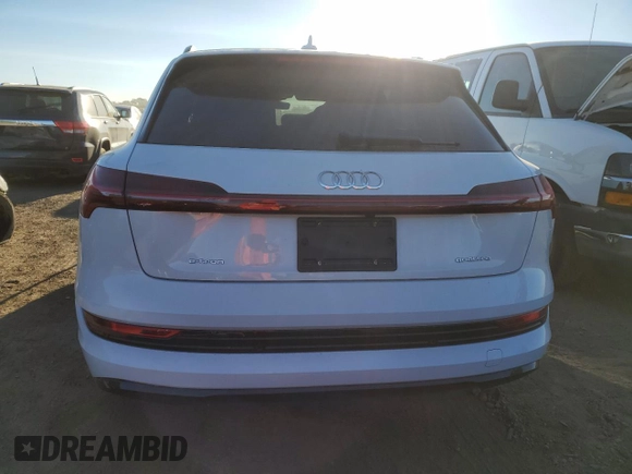 2022 Audi e-tron Premium with VIN WA1AABGE3NB007271, listed as a Copart auction lot 76786454 with 31,633 mi miles and Salvage Title. Bid and sale history available at DreamBid. Image 6.