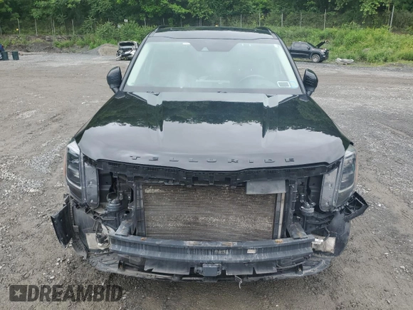 2022 Kia Telluride EX with VIN 5XYP3DHC5NG207139, listed as a Copart auction lot 60104755 with 101,632 mi miles and Salvage title. Bid and sale history available at DreamBid. Image 5.