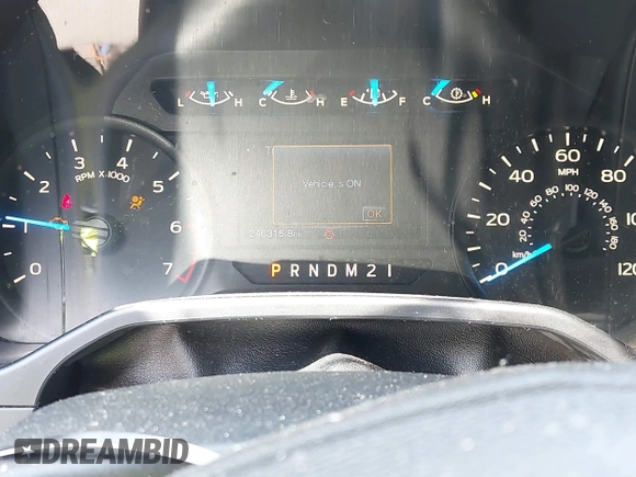 2017 Ford F-150 XL with VIN 1FTEX1CP1HFA69532, listed as a IAAI auction lot 42599302 with 246,315 mi miles and . Bid and sale history available at DreamBid. Image 7.