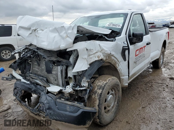2022 Ford F-150 XL with VIN 1FTMF1EB1NKE34424, listed as a Copart auction lot 43786024 with 27,499 mi miles and Salvage title. Bid and sale history available at DreamBid. Image 1.