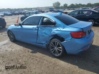 2018 BMW 2 Series 230i xDrive with VIN WBA2J3C56JVA49979, listed as a Copart auction lot 62429544 with 46,541 mi miles and Salvage title. Bid and sale history available at DreamBid. Image 2.
