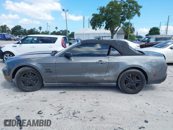 2011 Ford Mustang V6 with VIN 1ZVBP8EM3B5129187, listed as a IAAI auction lot 42555189 with 199,261 mi miles and . Bid and sale history available at DreamBid. Image 14.