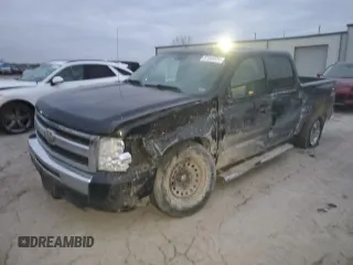 2009 Chevrolet Silverado 1500 LT with VIN 3GCEK23319G196489, listed as a Copart auction lot 87068324 with Not Provided miles and Salvage Title. Bid and sale history available at DreamBid. Image 1.