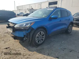 2020 Ford Escape SEL with VIN 1FMCU9H68LUC23846, listed as a Copart auction lot 59580265 with 131,290 mi miles and Salvage title. Bid and sale history available at DreamBid. Image 1.