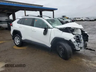 2019 Toyota RAV4 LE with VIN 2T3H1RFV8KC011352, listed as a Copart auction lot 48973505 with 0 mi miles and Salvage Title. Bid and sale history available at carsss.com. Image 4.