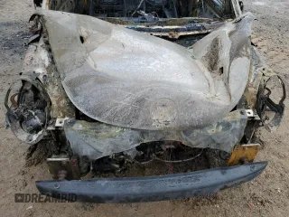 2009 Volkswagen Beetle S with VIN 3VWPW31C79M501529, listed as a Copart auction lot 56184265 with Not provided miles and Salvage title. Bid and sale history available at DreamBid. Image 11.