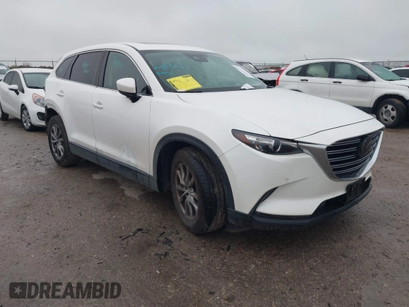 2019 Mazda CX-9 Touring with VIN JM3TCACY2K0328347, listed as a IAAI auction lot 41917854 with 67,173 mi miles and . Bid and sale history available at DreamBid. Image 1.
