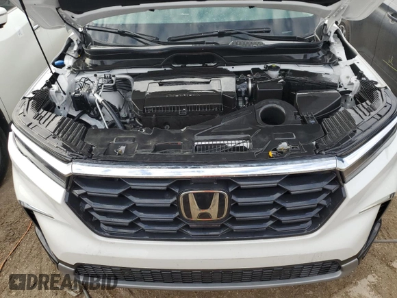 2024 Honda Pilot EX-L 8 Passenger with VIN 5FNYG1H49RB032102, listed as a Copart auction lot 73913564 with 0 mi miles and Salvage Title. Bid and sale history available at carsss.com. Image 12.
