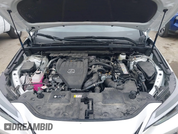 2025 Lexus NX 350 Premium with VIN JTJGGCEZ6S2023225, listed as a IAAI auction lot 42385139 with 1,590 mi miles and . Bid and sale history available at DreamBid. Image 10.
