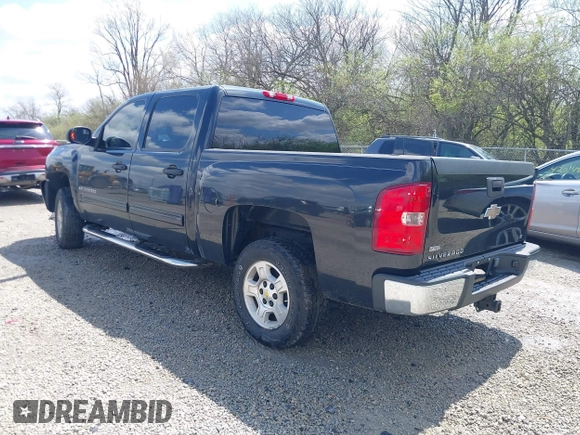 2009 Chevrolet Silverado 1500 LT with VIN 3GCEC23019G278743, listed as a IAAI auction lot 41997695 with 139,718 mi miles. Bid and sale history available at carsss.com. Image 3.