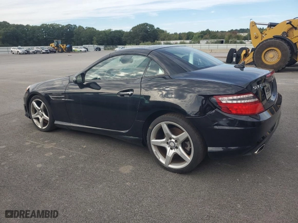 2014 Mercedes-Benz SLK-Class SLK 250 with VIN WDDPK4HA8EF088609, listed as a Copart auction lot 73640474 with NaN miles and Clean Title. Bid and sale history available at carsss.com. Image 2.
