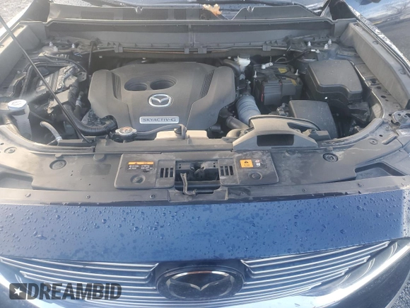 2020 Mazda CX-9 Grand Touring with VIN JM3TCBDY3L0402493, listed as a Copart auction lot 80834004 with 52,744 mi miles and Salvage Title. Bid and sale history available at carsss.com. Image 13.