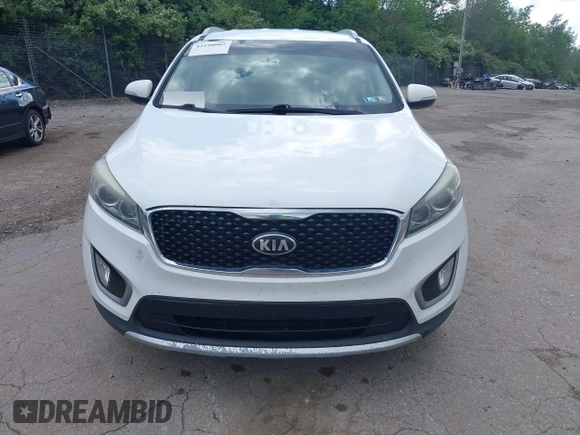 2017 Kia Sorento EX with VIN 5XYPH4A51HG294197, listed as a IAAI auction lot 42198002 with 277,128 mi miles and . Bid and sale history available at carsss.com. Image 13.