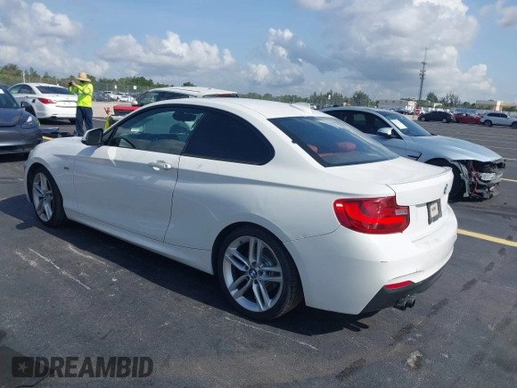 2014 BMW 2 Series 228i with VIN WBA1F5C54EV246340, listed as a IAAI auction lot 42457432 with 191,418 mi miles and . Bid and sale history available at DreamBid. Image 3.