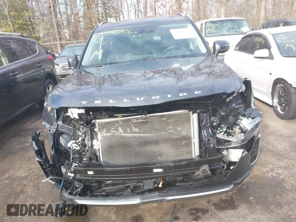 2021 Kia Telluride EX with VIN 5XYP3DHC8MG192246, listed as a IAAI auction lot 41596976 with 94,420 mi miles and . Bid and sale history available at DreamBid. Image 12.
