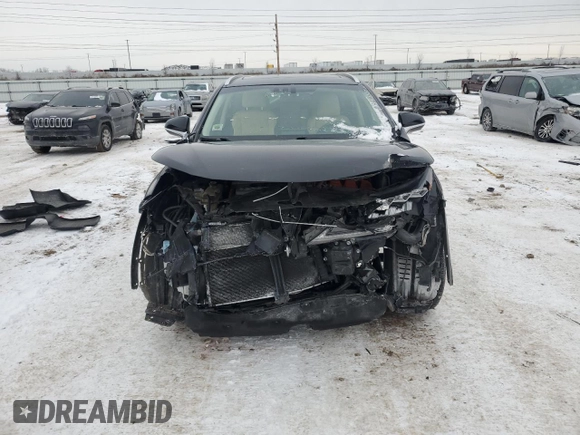 2017 Lexus NX 300h with VIN JTJBJRBZ7H2053412, listed as a Copart auction lot 44462015 with 50,076 mi miles and Salvage Title. Bid and sale history available at DreamBid. Image 5.