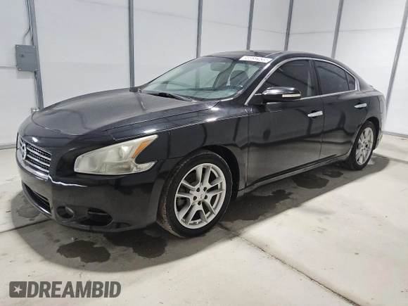 2011 Nissan Maxima SV with VIN 1N4AA5AP6BC818897, listed as a Copart auction lot 56032935 with 178,027 mi miles and Clean title. Bid and sale history available at DreamBid. Image 1.