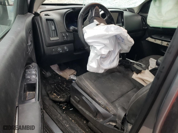 2018 Chevrolet Colorado 4WD LT with VIN 1GCPTCE19J1159359, listed as a Copart auction lot 43334765 with 123,449 mi miles and Salvage Title. Bid and sale history available at carsss.com. Image 8.