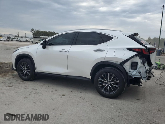 2024 Lexus NX 250 Premium with VIN 2T2GDCAZ3RC006908, listed as a Copart auction lot 88159635 with 20,109 mi miles and Salvage title. Bid and sale history available at DreamBid. Image 2.