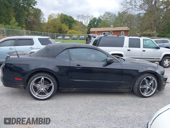 2013 Ford Mustang V6 with VIN 1ZVBP8EM3D5211391, listed as a IAAI auction lot 40585527 with 203,555 mi miles and . Bid and sale history available at DreamBid. Image 14.