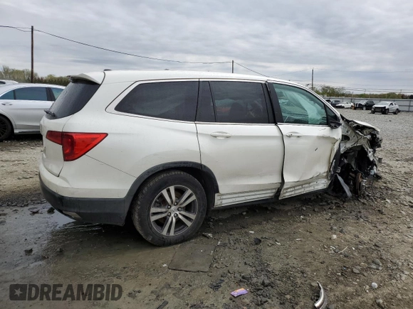 2018 Honda Pilot EX-L with VIN 5FNYF5H59JB031085, listed as a Copart auction lot 53874525 with Not provided miles and Salvage title. Bid and sale history available at DreamBid. Image 3.
