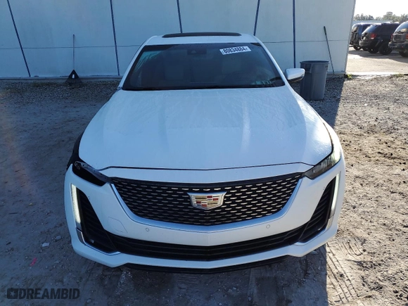 2022 Cadillac CT5 Premium Luxury with VIN 1G6DN5RK4N0108359, listed as a Copart auction lot 80834884 with 29,230 mi miles and Salvage Title. Bid and sale history available at carsss.com. Image 5.
