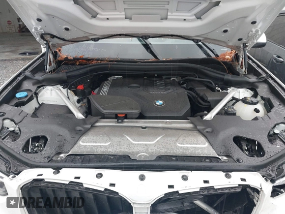 2024 BMW X3 sDrive30i with VIN WBX47DP07RN278665, listed as a IAAI auction lot 41054856 with Not Provided miles and . Bid and sale history available at DreamBid. Image 10.