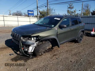 2019 Jeep Cherokee Trailhawk with VIN 1C4PJMBX9KD317171, listed as a Copart auction lot 51063115 with 168,861 mi miles and Salvage Title. Bid and sale history available at DreamBid. Image 1.
