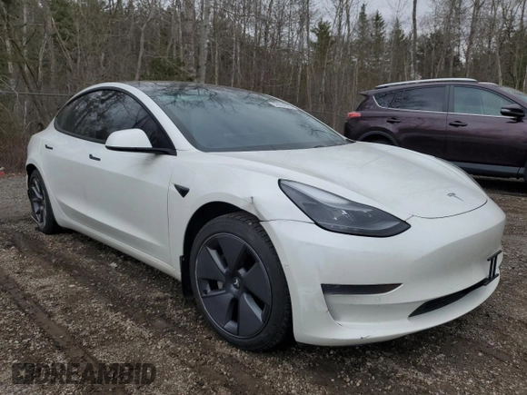2021 Tesla Model 3 Standard Range Plus z VIN 5YJ3E1EA0MF906162, wystawiony jako Copart lot #53004925 z przebiegiem 149 163 mil mil oraz Tytuł czysty. Historia ofert i sprzedaży dostępna na DreamBid. Obrazek 4.