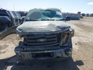 2010 Ford F-150 XL with VIN 1FTEX1CW1AKB71501, listed as a IAAI auction lot 41755273 with 146,272 mi miles and . Bid and sale history available at DreamBid. Image 12.