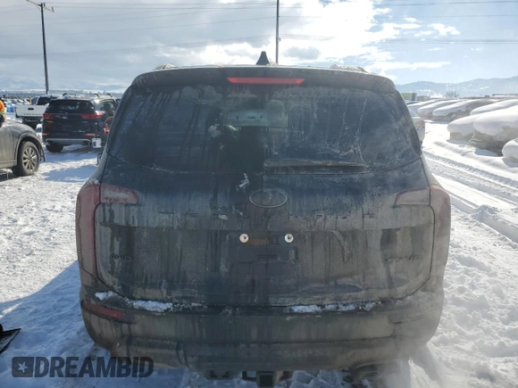 2021 Kia Telluride SX with VIN 5XYP5DHC4MG186986, listed as a Copart auction lot 47409435 with 10,887 mi miles and Salvage title. Bid and sale history available at DreamBid. Image 6.