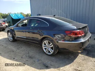 2013 Volkswagen CC Lux with VIN WVWRP7AN9DE561828, listed as a Copart auction lot 71457324 with 0 mi miles and Salvage Title. Bid and sale history available at carsss.com. Image 2.