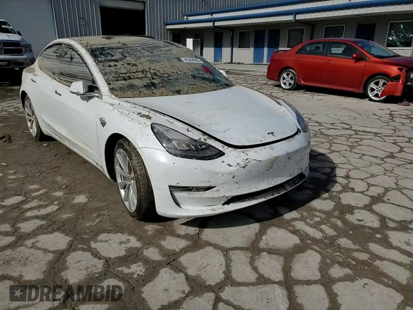 2019 Tesla Model 3 Mid Range with VIN 5YJ3E1EA3KF509087, listed as a Copart auction lot 46364865 with Not Provided miles and Salvage Title. Bid and sale history available at DreamBid. Image 10.