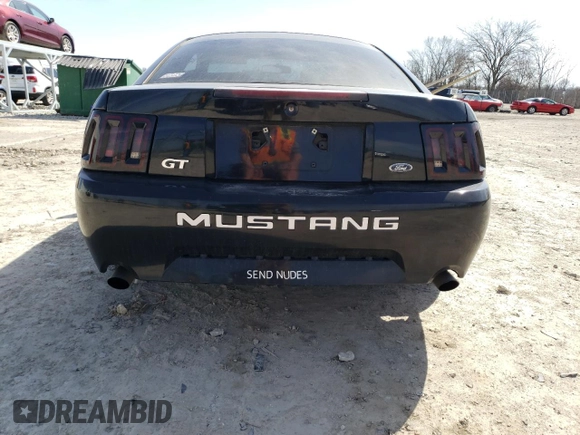 2001 Ford Mustang GT Deluxe with VIN 1FAFP42X41F227798, listed as a Copart auction lot 49651105 with 209,234 mi miles and Clean title. Bid and sale history available at DreamBid. Image 6.