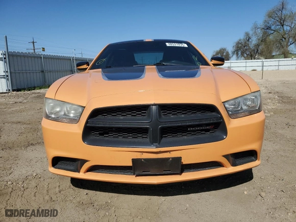2013 Dodge Charger Police with VIN 2C3CDXAT2DH593465, listed as a Copart auction lot 48531055 with 134,375 mi miles and Salvage Title. Bid and sale history available at carsss.com. Image 5.