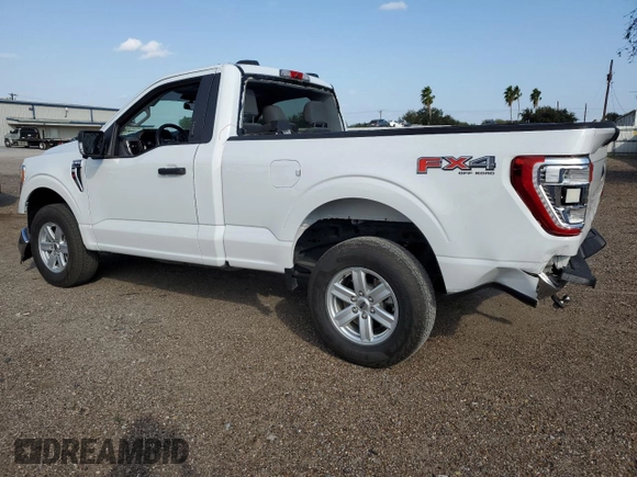 2022 Ford F-150 XL with VIN 1FTMF1E58NKE13404, listed as a Copart auction lot 80990584 with 24,179 mi miles and Salvage Title. Bid and sale history available at DreamBid. Image 2.