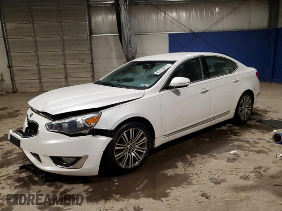 2014 Kia Cadenza Premium with VIN KNALN4D7XE5165767, listed as a Copart auction lot 81520014 with 102,229 mi miles and Salvage Title. Bid and sale history available at carsss.com. Image 1.