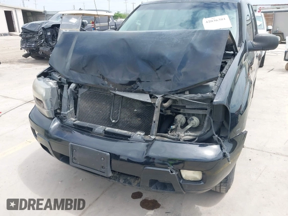 2009 Chevrolet TrailBlazer 1LT with VIN 1GNDS33S692131369, listed as a IAAI auction lot 42036301 with 249,593 mi miles and . Bid and sale history available at DreamBid. Image 6.