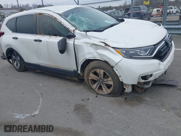 2020 Honda CR-V LX with VIN 5J6RW1H21LL006520, listed as a IAAI auction lot 41753501 with 46,958 mi miles and . Bid and sale history available at DreamBid. Image 1.